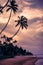 Silhouette of palm trees on the sandy shore of the Indian Ocean with beautiful clouds on the sky sunset or unrise