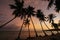 Silhouette of palm trees at sunrise, Las Galeras beach