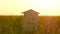 The silhouette of a paper house on the background of a beautiful sunset. Paper house on a background of grass. The