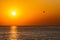 Silhouette of a parachute and a skydiver against the background of a bright burning sunset over the sea