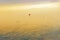 Silhouette of paraglide flying over the high mountains