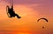 Silhouette paramotors flying on sunset