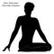 silhouette of Parivritta Virasana