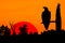 Silhouette of Peaceful Eagle at Sunset