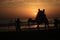 Silhouette of people and a camel in a beach in agadir , Morocco