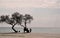 Silhouette of people chatting under tree on beach in the sunset