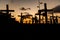 Silhouette of people and crosses fixed on the ground in honor of those killed by covid-19