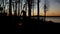 Silhouette of people enjoyiing beautiful lakeside campfire just after sunset with trees along Minnesota lake shoreline