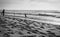 Silhouette of people playing and enjoying on sandy beach of atlantic ocean in black and white, capbreton,