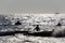 Silhouette of People playing, swimming in the waves in the island of Patmos, Greece in summer time