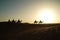 Silhouette people riding camels in desert native tuareg arabic african person Sahara wildlife tourist attraction Dubai