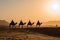 Silhouette people riding camels in desert native tuareg arabic african person Sahara wildlife tourist attraction Dubai