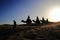 Silhouette of people riding through a desert on camels under the sunlight