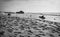 Silhouette of people on sandy beach going to surf breaking waves of atlantic ocean in black and white, capbreton, france