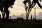 Silhouette of people walk and jog at during evening sunset. Warm tones.