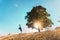 Silhouette of person at the foot of the tree