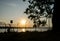 Silhouette photo of a large banyan tree and reservoir at sunrise