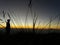 Silhouette photo at sunrise on Mount Merbabu