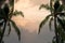 Silhouette photo of tropical palm tree at twilight golden time.Backghround use for travel holiday and tourist business industrial