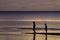 The silhouette photo of two brothers enjoy on the beach