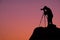 Silhouette Photographer on hill at twilight