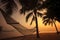 Silhouette photography of beach cradle on coconut tree against b