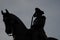 Silhouette picture of the Equestrian Statue of George Washington in Common Park, Boston