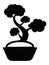 Silhouette picture of a Japanese Symbol of a Bonsai
