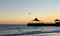 Silhouette of pier in Gulf of Mexico at dusk with solitary gull flying overhead.