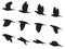 Silhouette Pigeons bird flying motion vector set