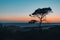 Silhouette of pine tree against the background of a sea sunset. On a sand dune in the distance, crowds of tourists walk on