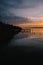 Silhouette of plants and a pathway above the water under a cloudy sky in a vertical shot