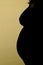 Silhouette of a pregnant woman