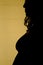 Silhouette of a pregnant woman