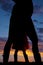 Silhouette of a pregnant woman and childs legs