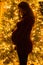 Silhouette of a pregnant women at Christmas in front of a lite Christmas tree