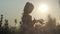 Silhouette of a pretty young girl sniffs a bouquet of flowers on the field