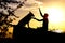 Silhouette profile of hapy man and dog sitting and playing on nature, boy training German Shepherd at sunset in a field, concept