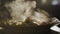 Silhouette of ravioli on a plate, steam, close-up