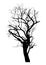 Silhouette of realistic dead tree for halloween decoration