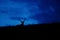 Silhouette of red deer stag standing on a hill at night with blue clouds behind