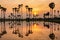 Silhouette of reflection of palm tree during sunrise time