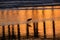 Silhouette and reflection of a shorebird searching for food in the outgoing tide