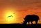 Silhouette of rhino at sunset