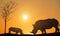 Silhouette of a rhinoceros of the African savannah