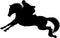 Silhouette of a Rider on a horse