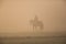 Silhouette of rider with horse in the morning dust