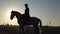 Silhouette rider on horse on sunset. Slow motion