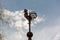 Silhouette of a rooster in front of a slightly cloudy sky