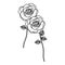 silhouette roses with stem and leaves floral design